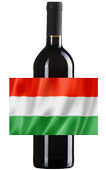 Wina węgierskie