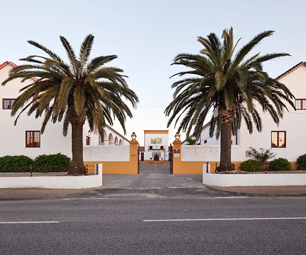 Casal da Coelheira - wina z Tejo (Portugalia)
