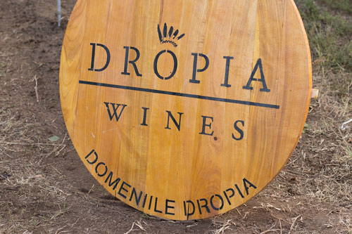 Dropia Wines - zestawy miesiąca sierpień 2026