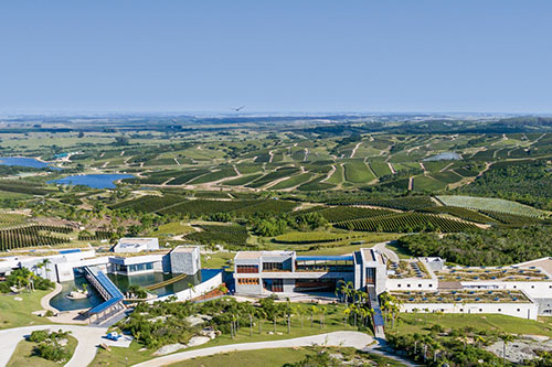 Alejandro Bulgheroni Bodegas Garzón - zestawy miesiąca kwiecień 2026 Klub Domu Wina