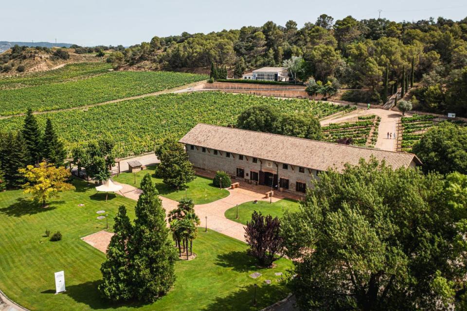 Winairnia Viñas del Vero | Dom Wina