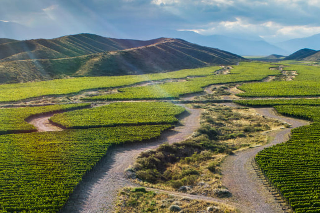 Bodegas Familia Zuccardi - zestawy miesiąca maj 2026 - Klub Domu Wina