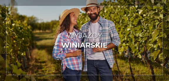 Wyjazdy winiarskie - Podróże z winem