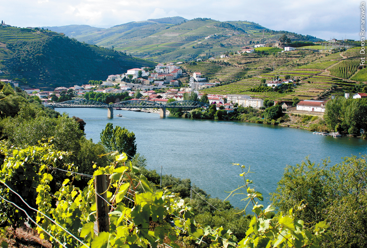 Douro zdjęcie