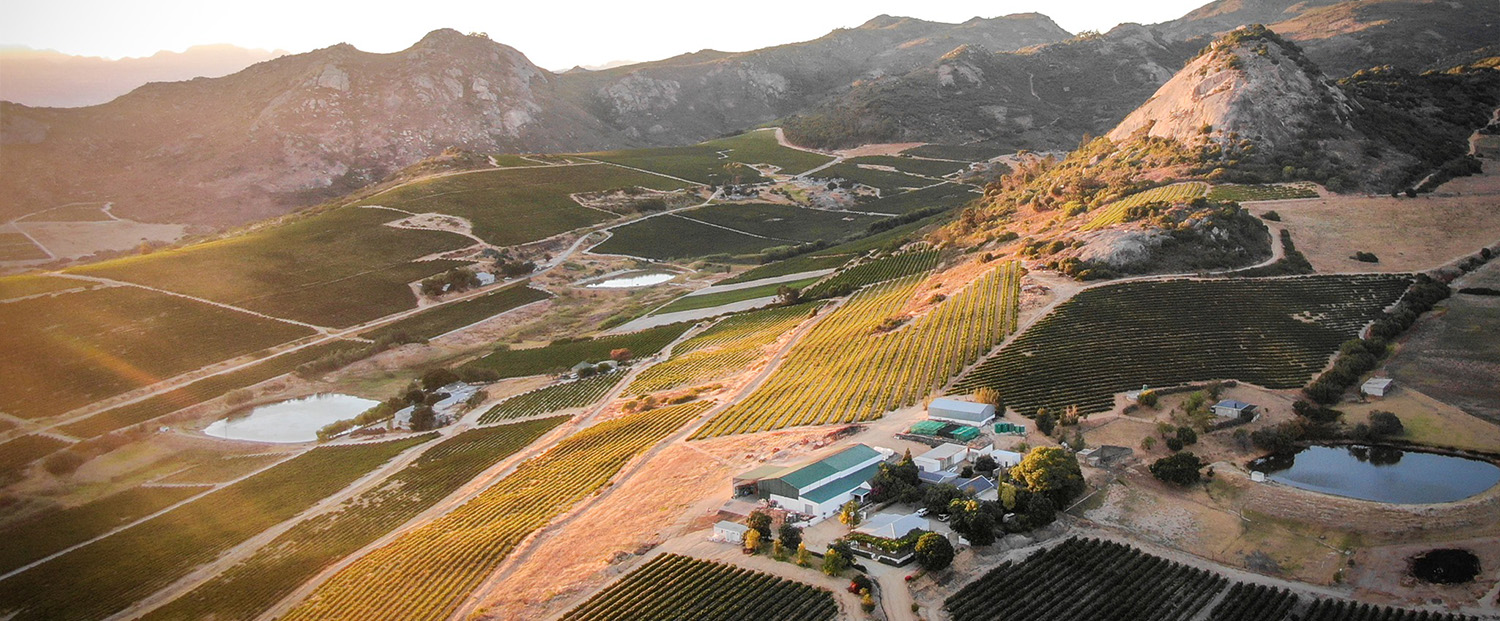 Winiarnia Babylon's Peak w Swartland Winiarnia Babylon's Peak w Swartland