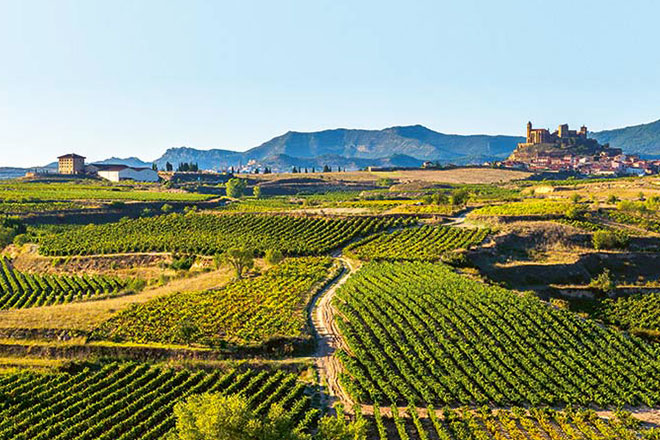 Laguardia – miasteczko wśród winnic