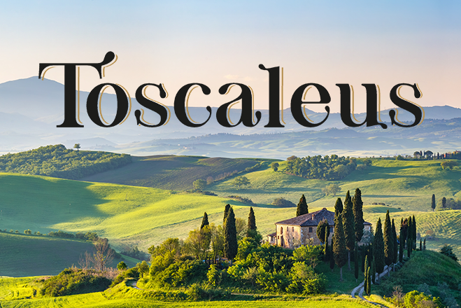 4 x Toskania – nowości w ofercie