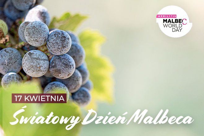 Historia odmiany malbec