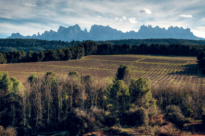 Zestawy miesiąca: Wino i sobrasada (luty 2026)