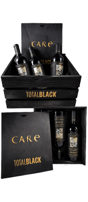 Zestaw prezentowy 6 aragońskich win klasy premium Care Finca Bancales
