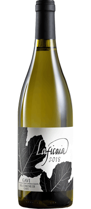 Laficaia Gavi di Gavi