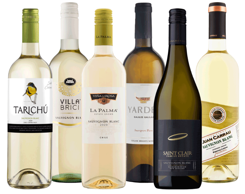 Zestaw win "Dzień Sauvignon Blanc"