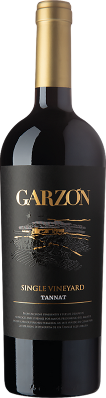 Garzón Single Vineyard Tannat