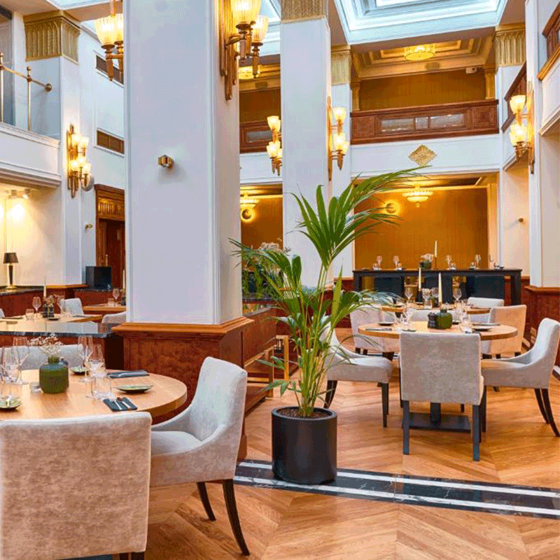 Noc Wina: Słowenia moja miłość - Bydgoszcz 29.01.2026 (19:00)