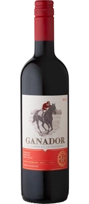 Ganador Tannat Merlot Semi Seco