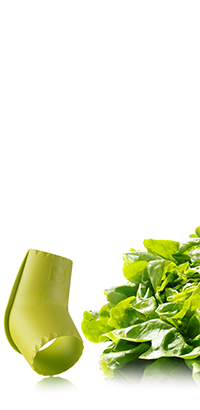 Wykrawacz do sałaty