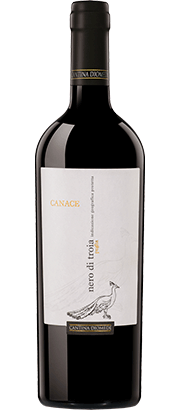 Canace Nero di Troia