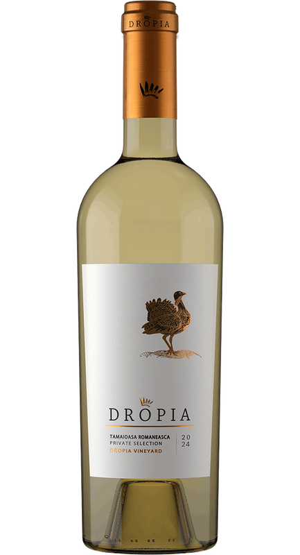 Dropia Beauty on the Wing Tămâioasă Românească Private Selection