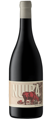 Nuiba Second Post Shiraz