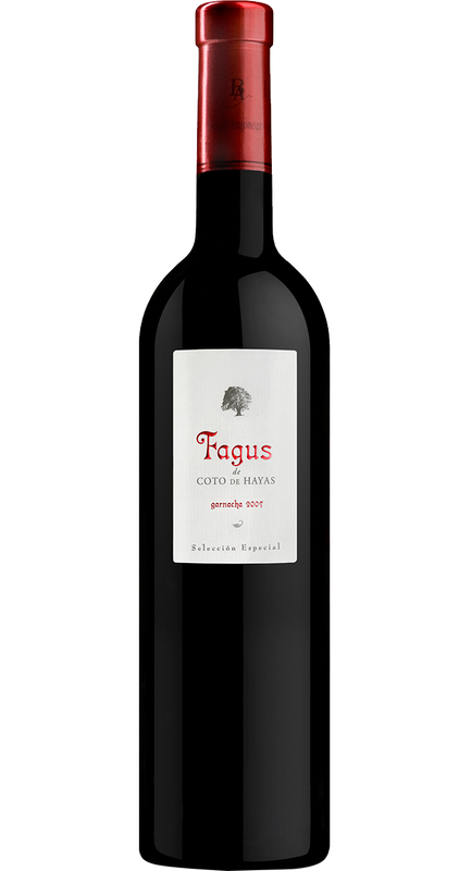 Fagus