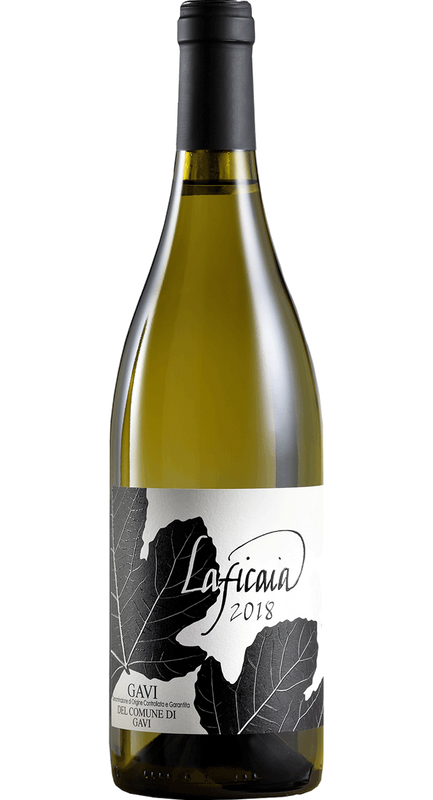Laficaia Gavi di Gavi
