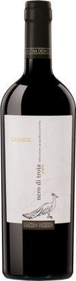 Canace Nero di Troia