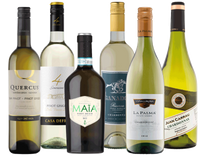Olimpiada szczepów - Chardonnay vs. Pinot Grigio