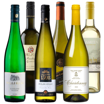 Olimpiada szczepów - Chardonnay vs. Riesling