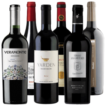 Olimpiada szczepów - Merlot vs. Primitivo