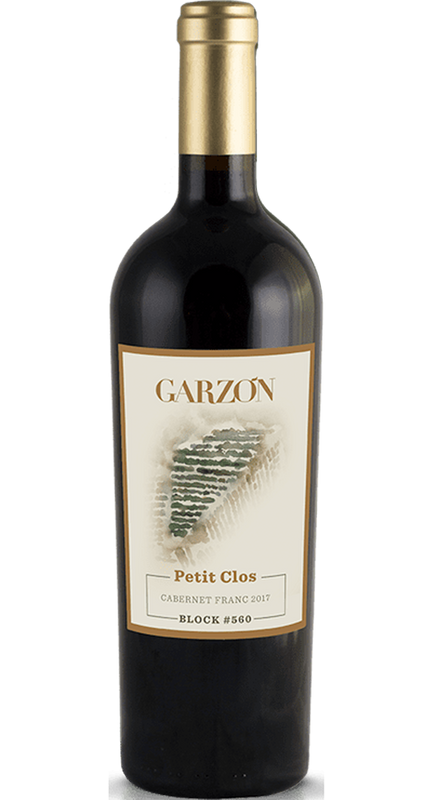 Garzón Petit Clos Cabernet Franc