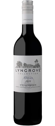 Lyngrove Collection Shiraz
