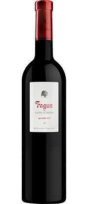 Fagus