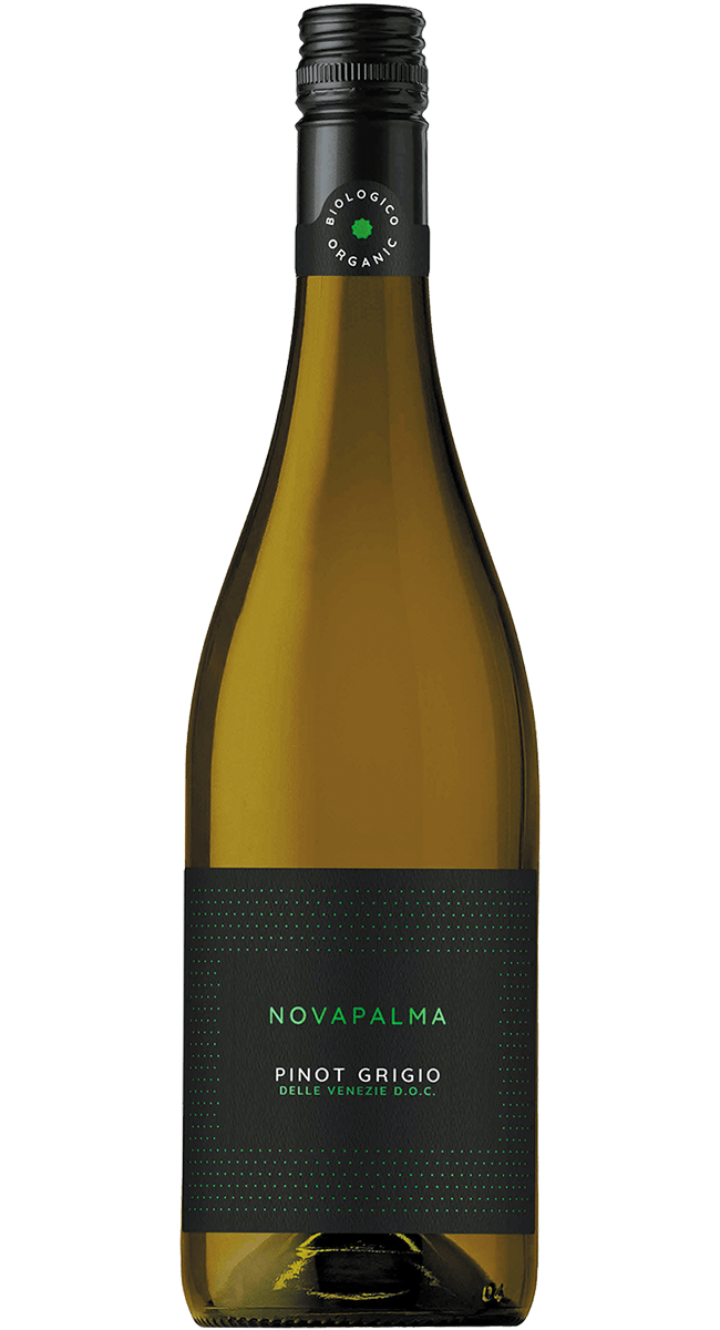 Pinot Dom | Grigio Organic Wina Novapalma